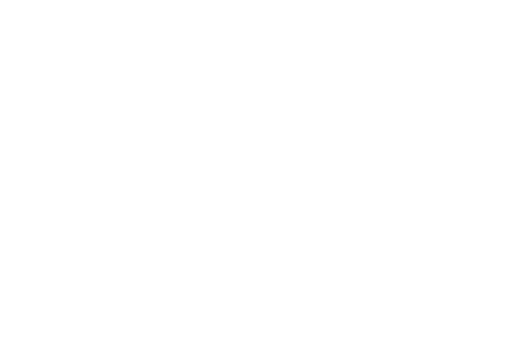 Voice Communication